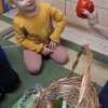 Sówki - poznajemy warzywa i owoce